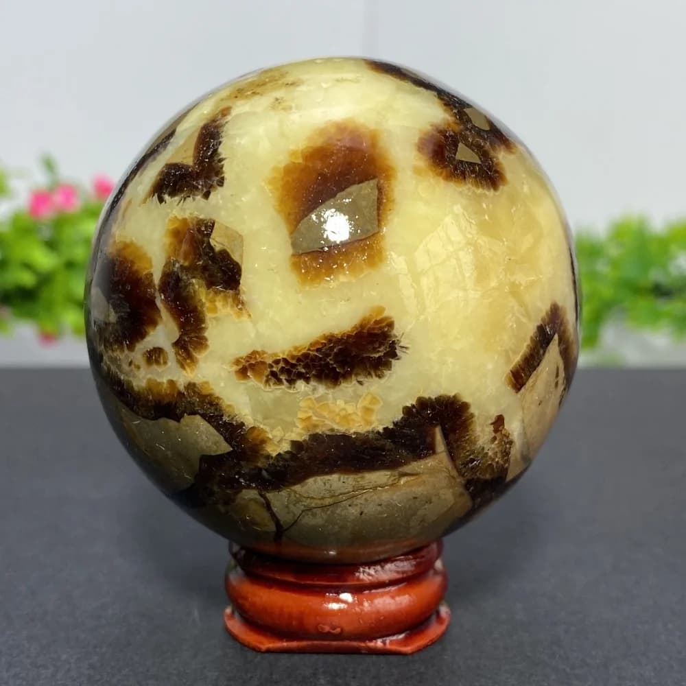 Sfera di pietra posteriore di tartaruga di cristallo naturale - Regalo di guarigione energetica lucidata a mano Decorazioni per la casa minerali Reiki