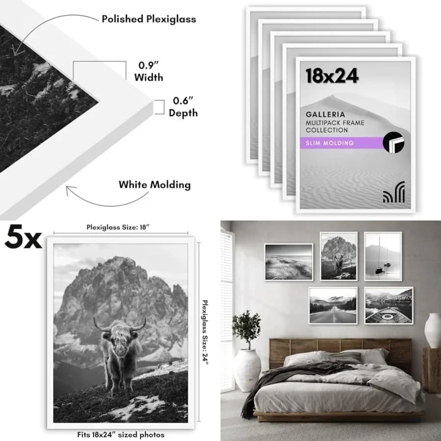 Cornice per Poster 18x24 con Plexiglass Lucido - Set di 5 - Collezione Galleria - Cornici per Esposizione a Parete