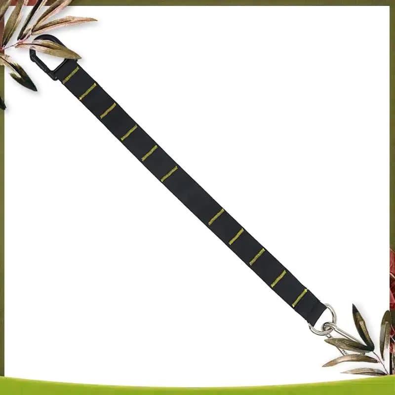 Reliable Horizontal Bar Strap for Fitness, Spare Fitness Swing Band, Outdoor Hanging Lift Belt, Gym Strap for Tractions