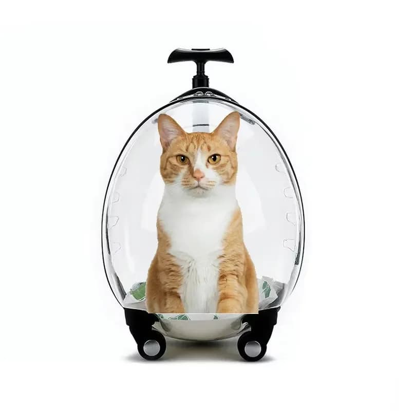 for Large Luxury Dog Cat Wheeled Trolley Transparent Outdoor Pet Case Solid Pattern Plastic Pet Carrier Zipper Closure Dog