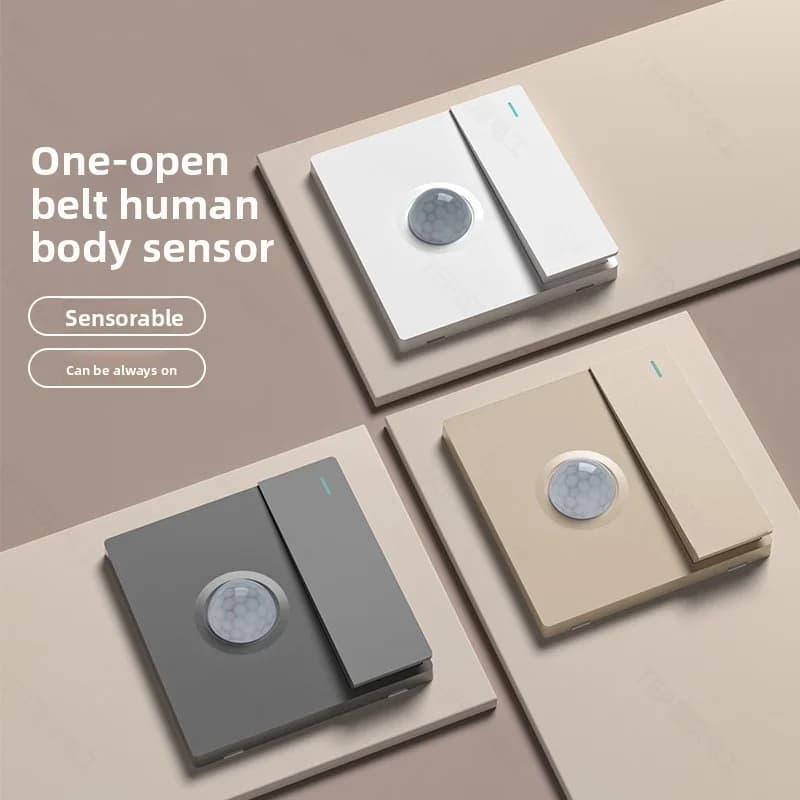 86 Tipo Interruttore di controllo del suono e della luce Installazione nascosta ultrasottile Corridoio Interruttore singolo con rilevamento intelligente del corpo umano