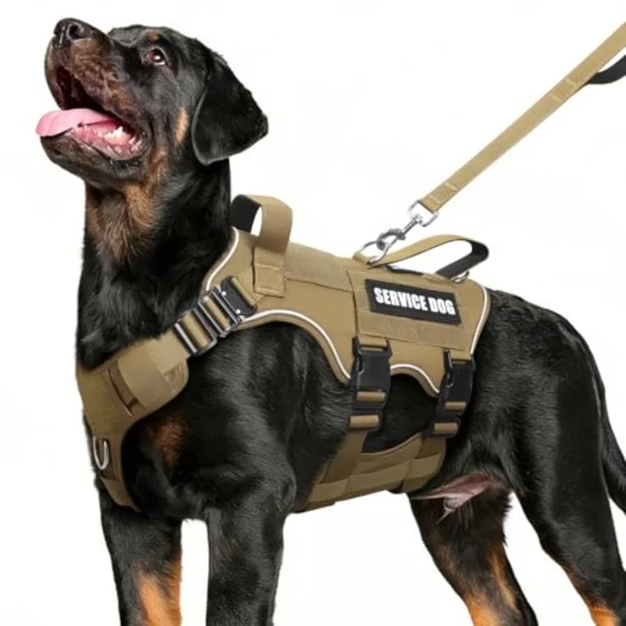 Set Gilet e Guinzaglio per Cani da Servizio, Imbracatura Tattica Resistente con Fibbie Metalliche per Cani di Tutte le Taglie, Imbracatura Regolabile Anti-Trazione