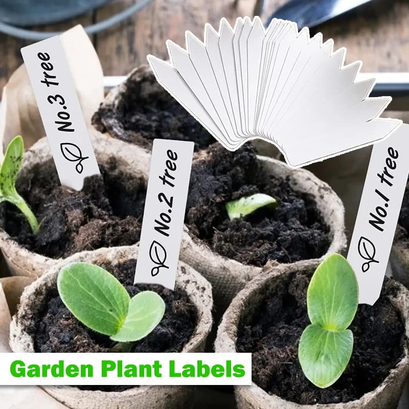 Etichette in PVC per Piante, Marcatori da Giardino per Semenzai Esterni, Etichette Orticolturali Impermeabili, Accessori per Piante e Fiori