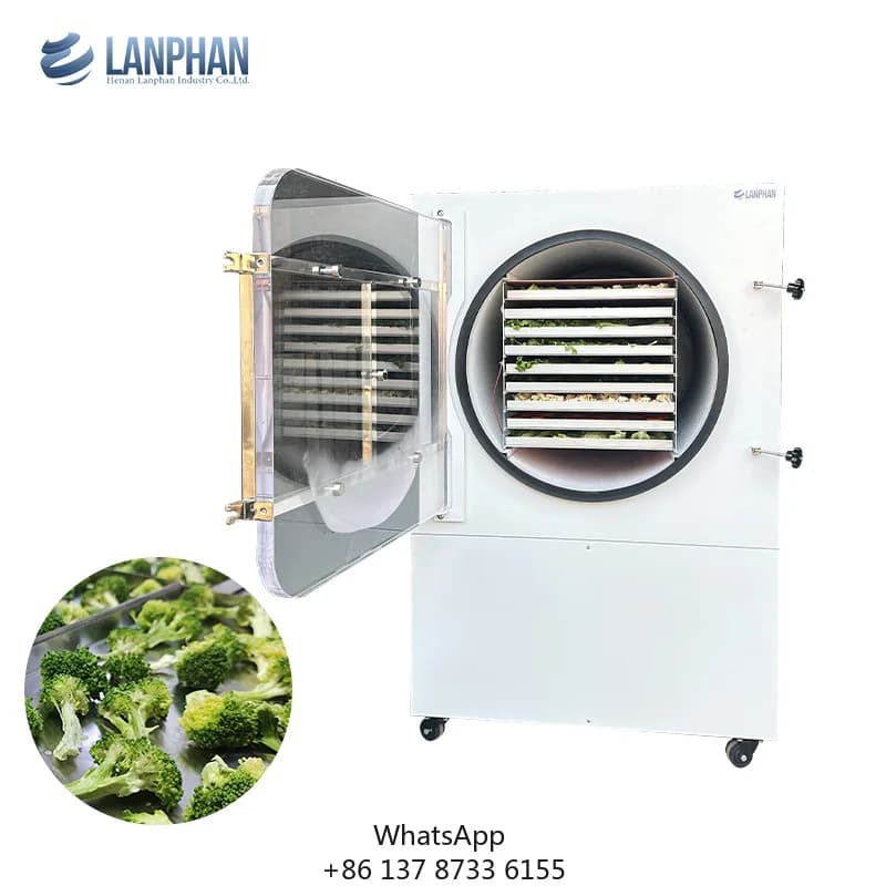 For Commercial Dual Compressor HFD-50plus 60-70KG/Batch 5m2 Freeze-Dried Area Food Processing Fruit Liquid Vacuum Drying
