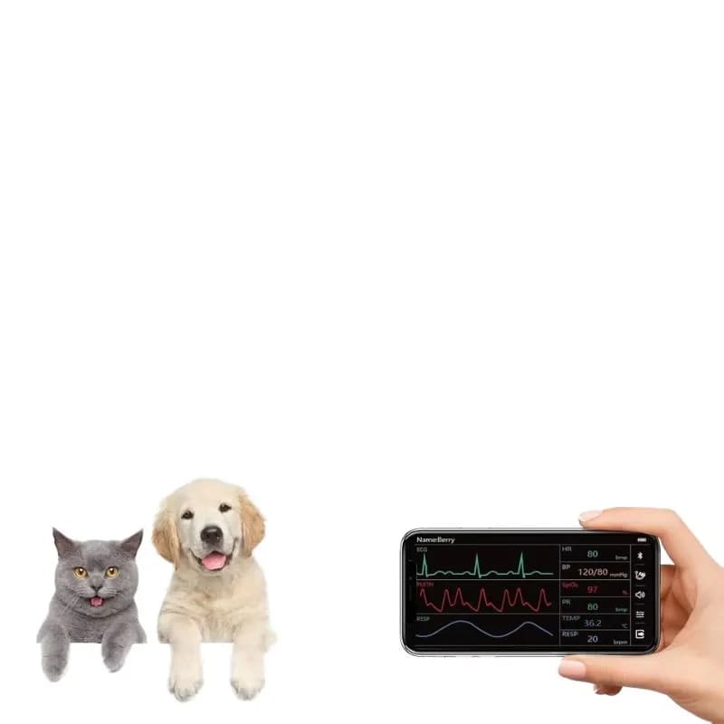Bluetooth Veterinary Devices, Medical Pulsossimeter or ECG Equipment for Domestic Animals