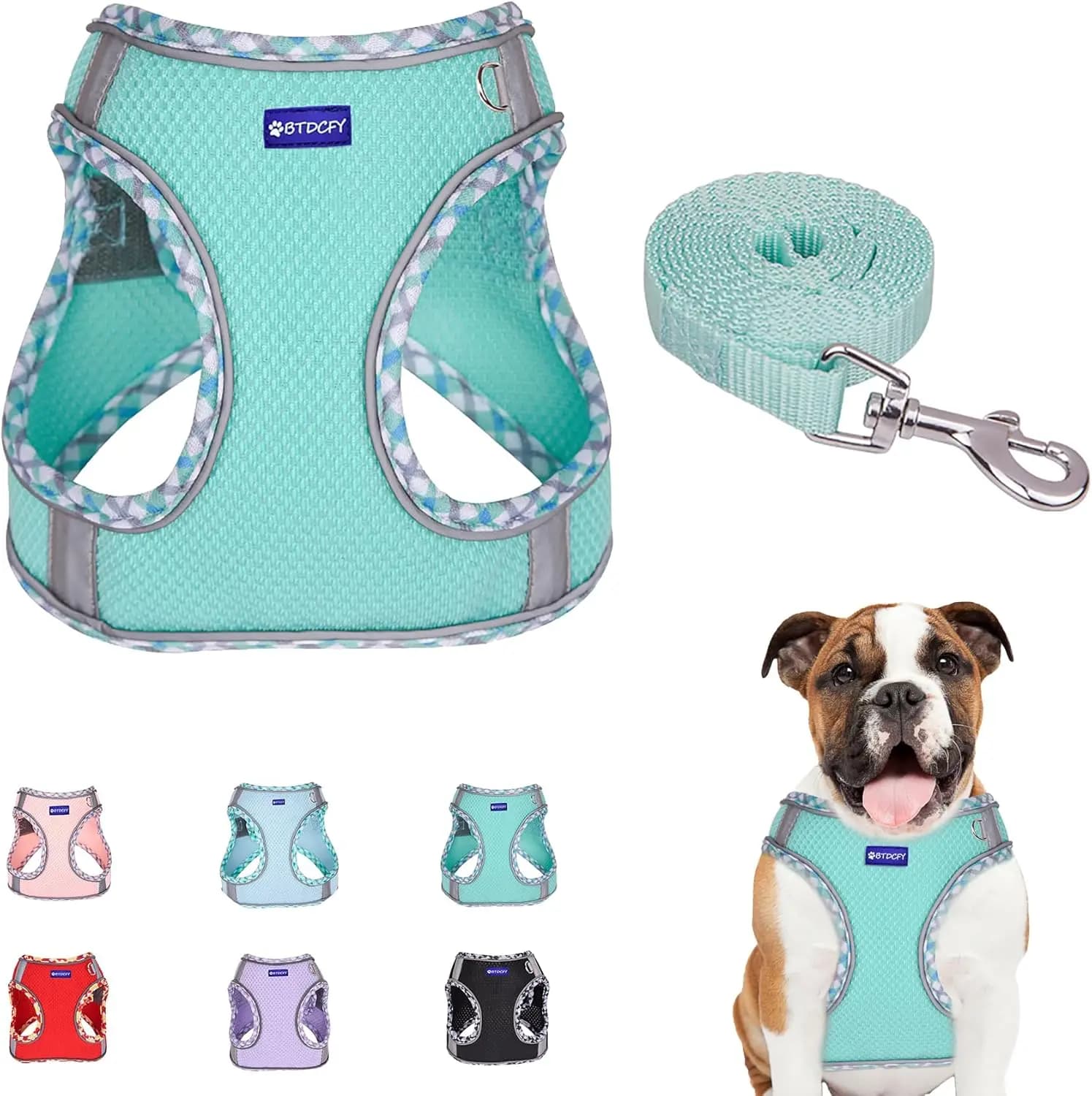 Set Pettorina e Guinzaglio per Cani Step-in in Mesh - Gilet Traspirante Riflettente Anti-Fuga - Senza Strappi, Leggero - Verde