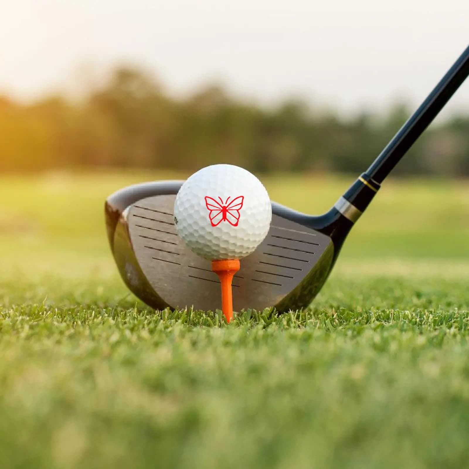 Timbro Professionale per Palline da Golf con Inchiostro Fotosensibile a Rapida Asciugatura, Design Portatile Riutilizzabile a Forma di Farfalla