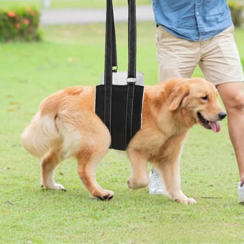 Imbracatura di Supporto per Cani, Cintura di Sollevamento Posteriore per Cani Infortunati, Disabili, Anziani, con Zampe Posteriori Deboli, Ausilio per la Riabilitazione e la Camminata