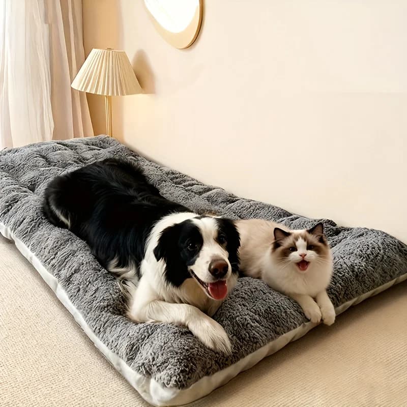Letti per cani extra large Lettino per cani in peluche Tappetino per divano Tappetino per animali domestici in poliestere super morbido addensato Letto per casse per cani per letto grande