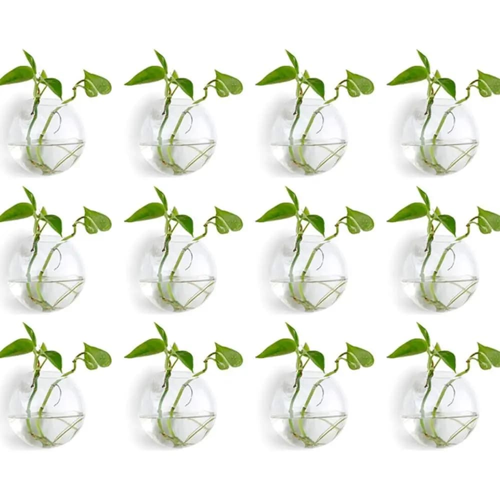 Planter from Terrarium Wall: 12 Pieces Glass Vases Transparent by Wall for Interior, Office, Garden, Living - Vases for Oblate Plants