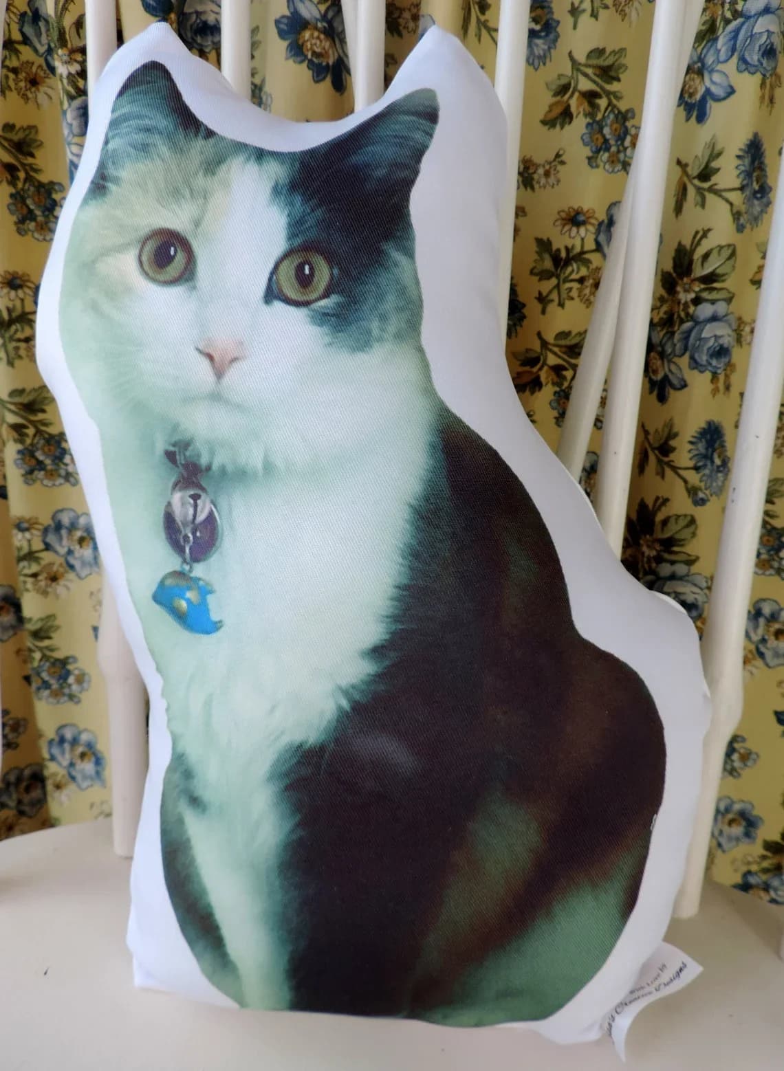 Personalizza le tue foto dell'animale domestico con le immagini come per favore, give your pet un sorpreso
