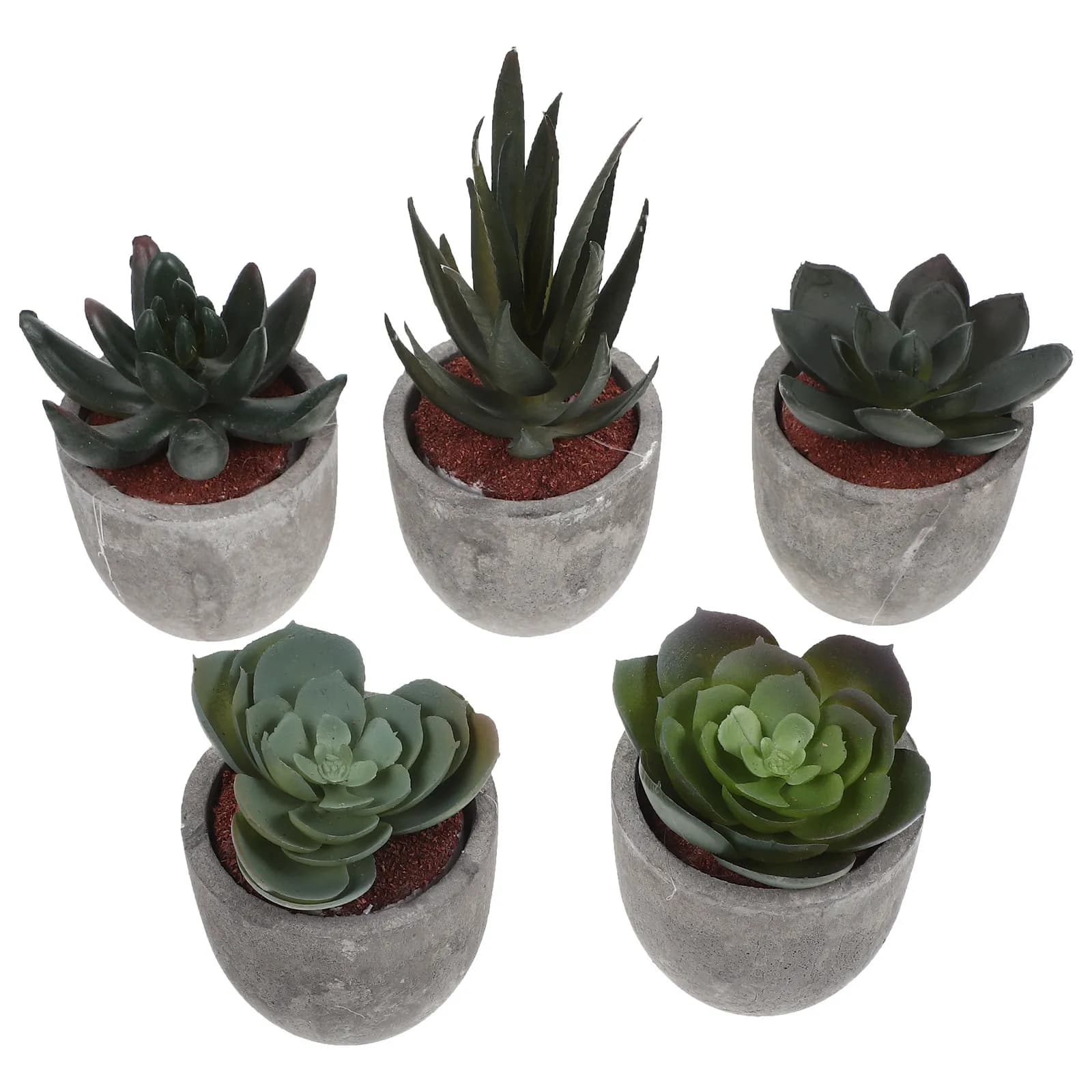 Set di 5 Piante Succulente Artificiali Realistiche, Piante Finte Verdi per Interni ed Esterni, Decorazione per Casa, Ufficio, Hotel