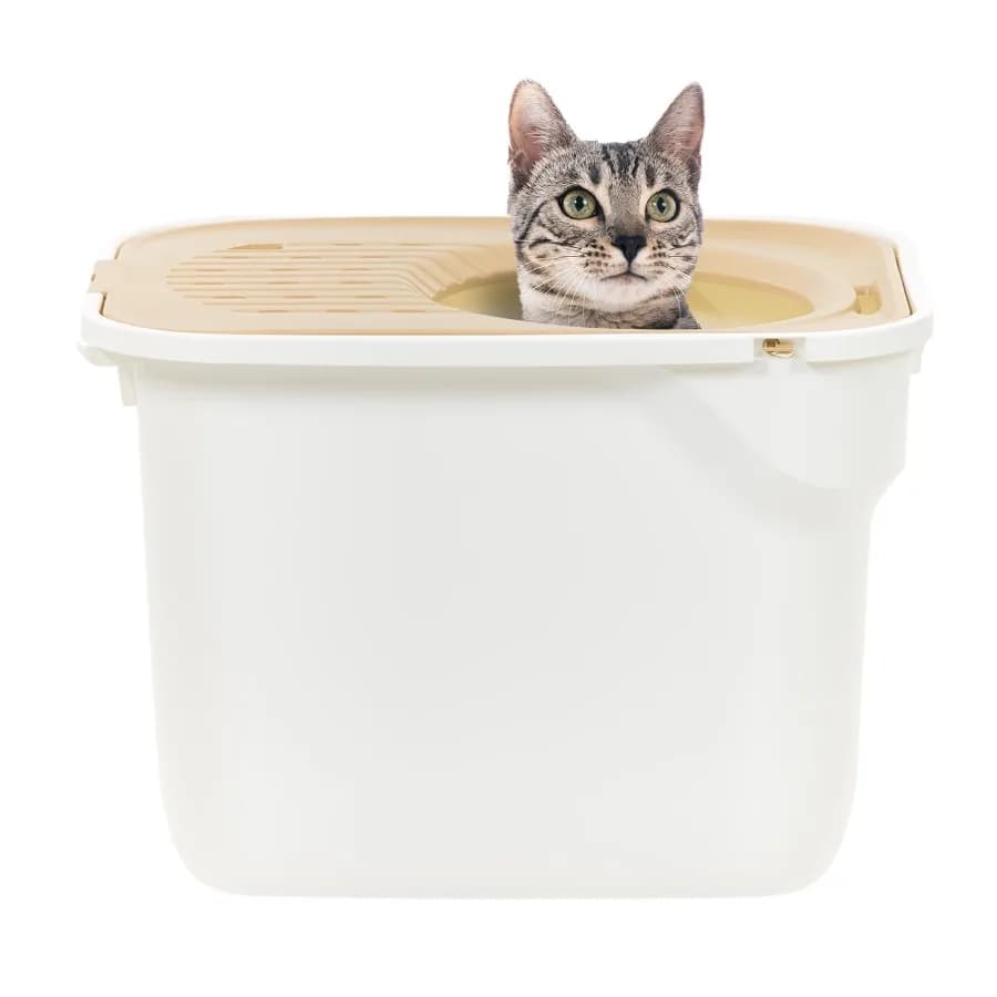 Spacious Top Entry Cat Litter Box with Litter Catching Lid for Easy Cleanup and Odor Control Ideal for Multicat Homes
