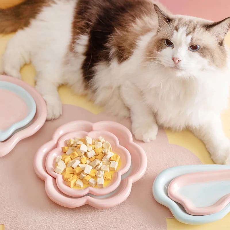 Ciotola per gatti in ceramica antiscivolo con design a cuore: piatto per alimenti per animali domestici per alimenti secchi/bagnati e accelli, ciotola per alimentazione sicura e facile da pulire per animali domestici