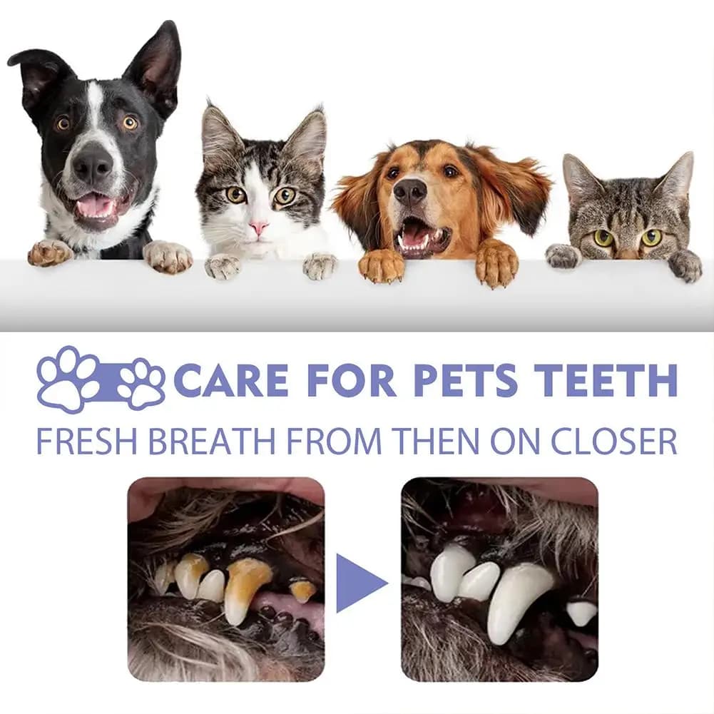 Spray Orale per Cani da 30ml, Deodorante per Animali Domestici, Cura dell'Alito, Pulizia dei Denti, Rimozione della Placca, Accessori per Animali