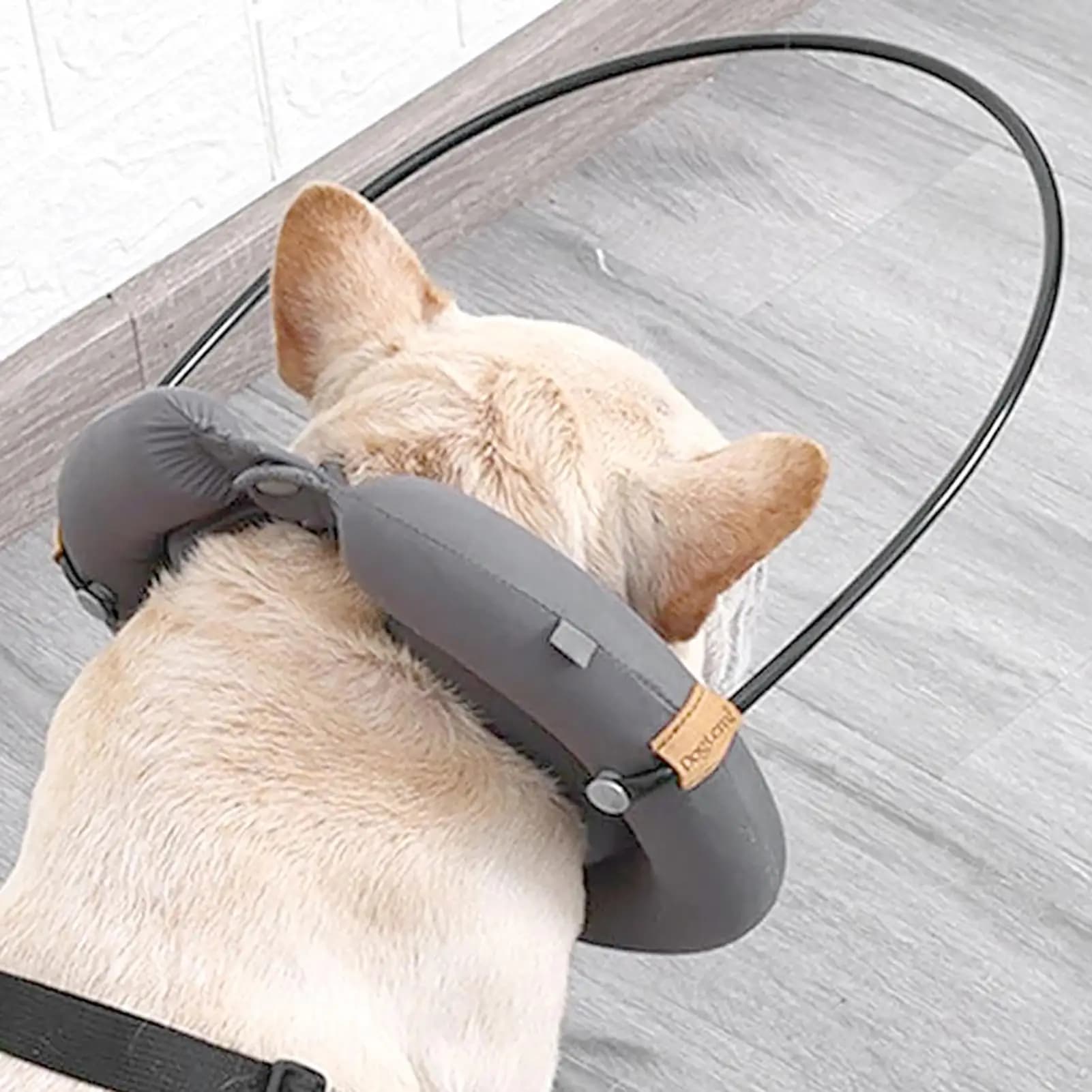 Collare per cani cieco Imbracatura di sicurezza per animali domestici Collare per dispositivo di guida riflettente regolabile Collare anti-collisione per cani e gatti da medio a cieco