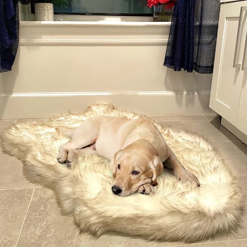 Letto per cani ortopedico di lusso in pelliccia sintetica, letto per cani in memory foam ​ per ​ Animali domestici piccoli, medi, grandi e XL, soffice tappeto per animali domestici