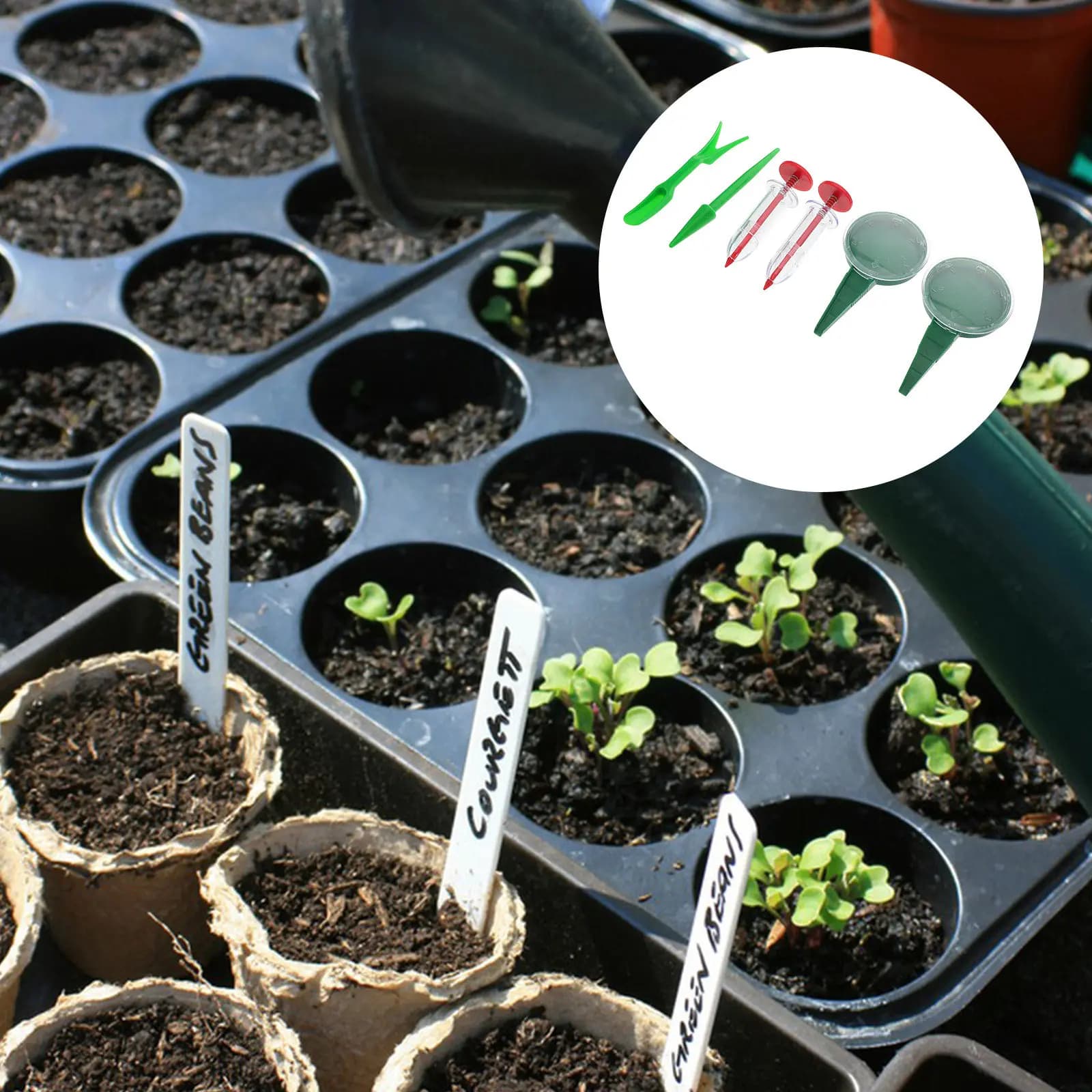 Set di 6 Seminatrici Manuali per Giardino, Strumento di Semina Precisa per Fiori e Verdure, Spargisemi per Prati