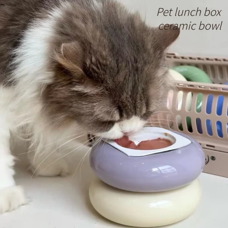 Ciotola per Animali Domestici in Ceramica a Forma di Ciambella, Contenitore per Cibo Umido e Snack, Design Carino per Gatti e Piccoli Animali