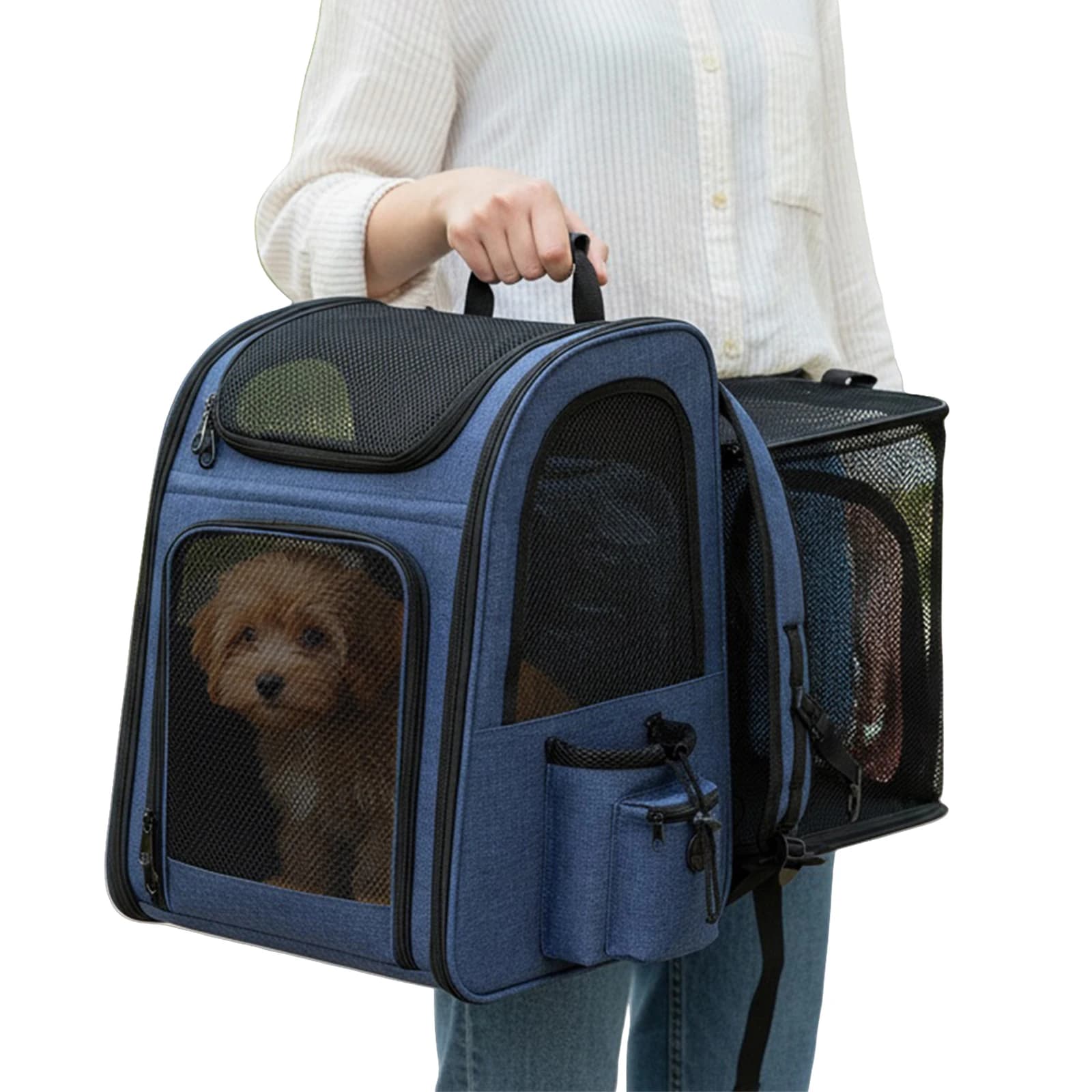 Zaino Trasportino Espandibile per Animali Domestici con Finestra a Rete, Borsa da Viaggio Pieghevole per Cuccioli, Ideale per Escursioni, Viaggi e Campeggio