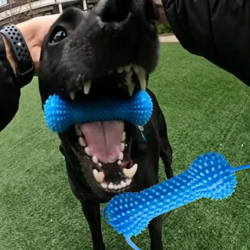 Dog Toothbrushing Toy Suction Cup Pull Rope Dental Chew Stick Rubber Teeth Cleaning Toy interactive Snack Dispensing Ball
