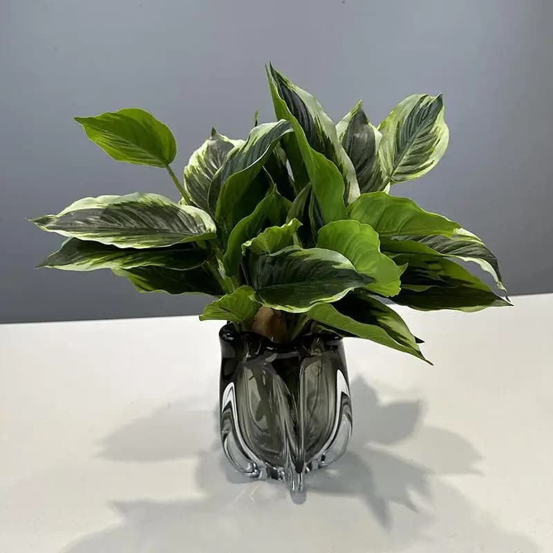 Pianta Artificiale Creativa a 14 Foglie, Decorazione Verde per Foto e Scenografie, Foglie Sempreverdi per Pareti Verdi e Arredamento Casa