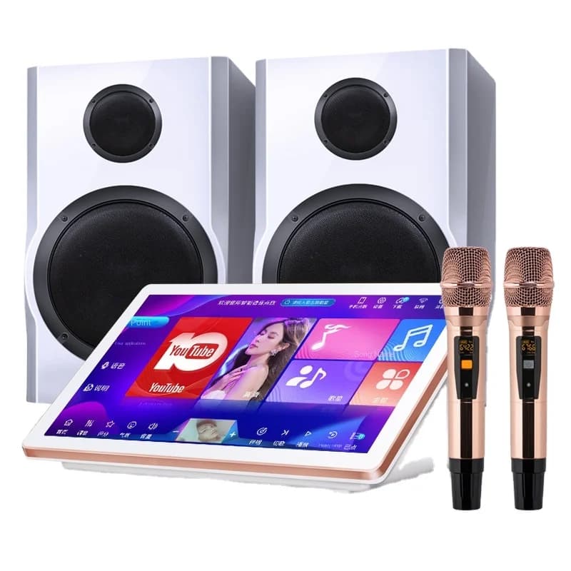 Suite audio con microfono wireless per macchina per karaoke domestica e commerciale all-in-one Song Magic da fonte