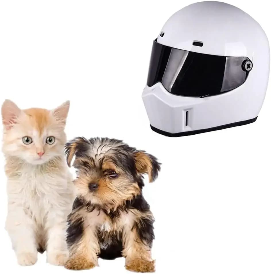 Cat Motorcycle Helmet Full Face Outdoor Bike Riding Hat Head Protecting for Cat Dog Doggie Puppy Kitten Pet Supplies Racing