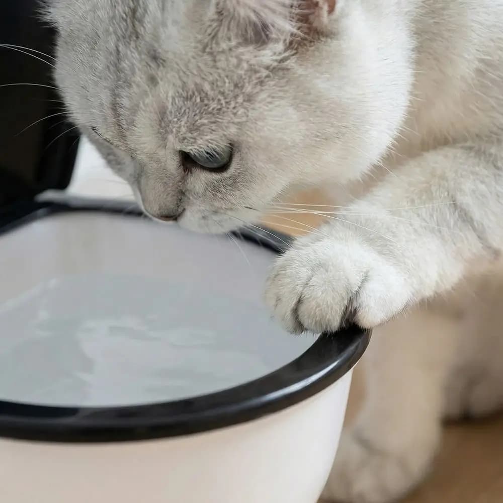 Dispenser d'Acqua per Animali Domestici a Forma di WC 650 ML, Ciotola per Cibo Simulazione WC, Staccabile con Coperchio, Ciotola per Bere per Cani