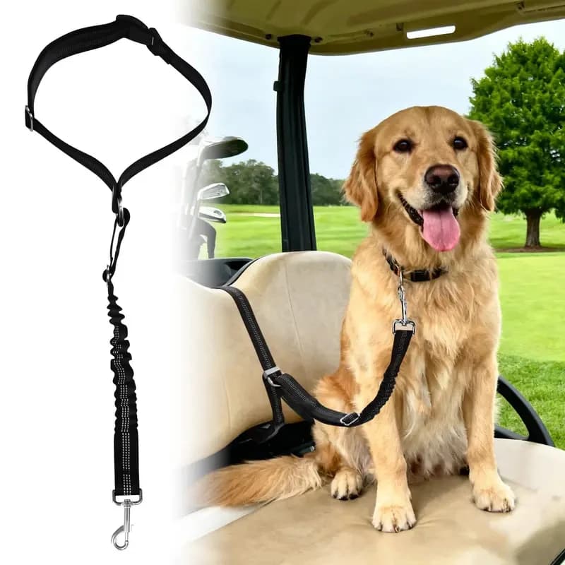 Buffer Design Dog Safety Seat Belt Reduce Impact Force During Sudden Braking