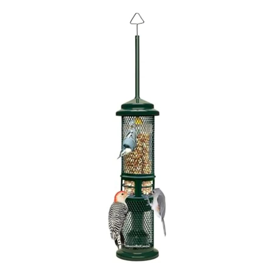 Squirrel Buster Nut Feeder Squirrel-Proof Bird Feeder for Shelled Peanuts and Dried Fruit, Weight-Adjustable, Woodpecker Friend