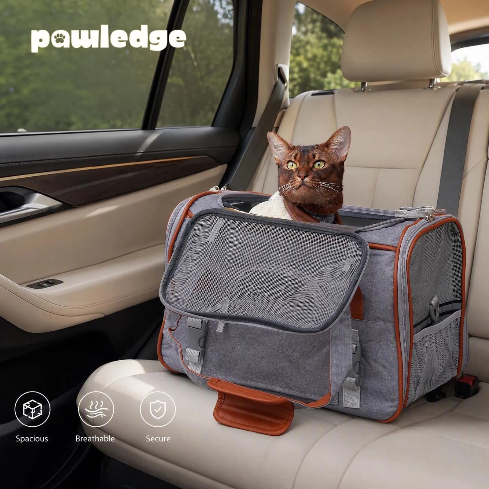 Foldable Pet Carrier Bag, Breathable Large Capacity Handbag with Luggage Strap, Car Seat Travel Bag for Cats and Small Dogs