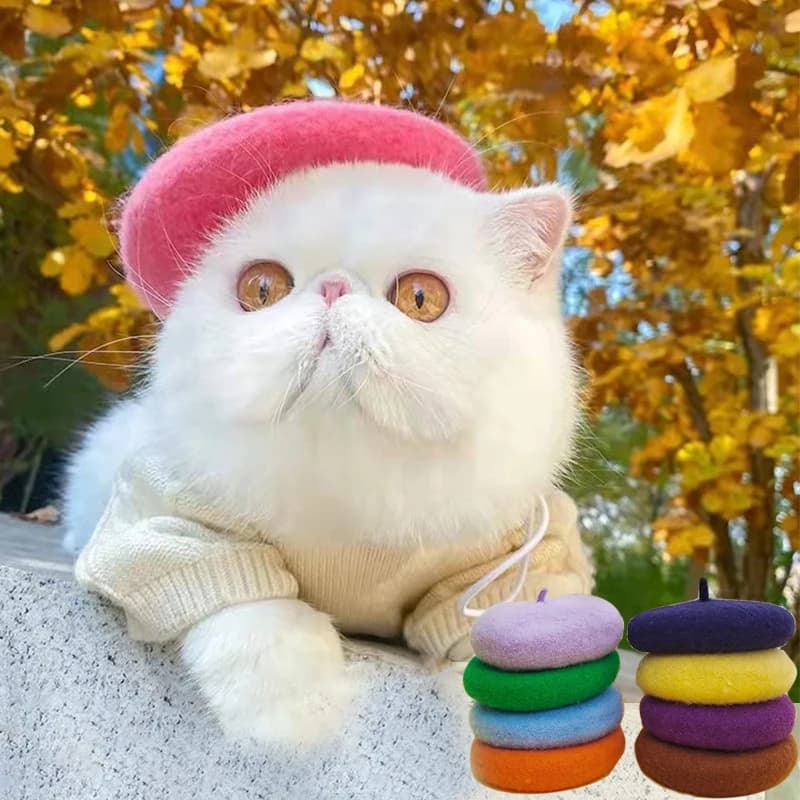 Pet Hat in Lana Tinta Unita, Decorative Cap for Dogs and Cats, Mini Copricapo for Photo, Christmas Commemoration Hat for Domestic Animals
