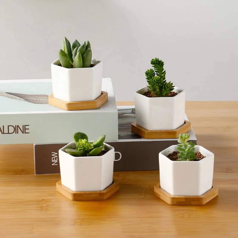 Vaso da fiori in ceramica vaso in ceramica esagonale bianco con vassoio vaso da fiori europeo semplice contenitore per piante succulente piccoli vasi Bonsai