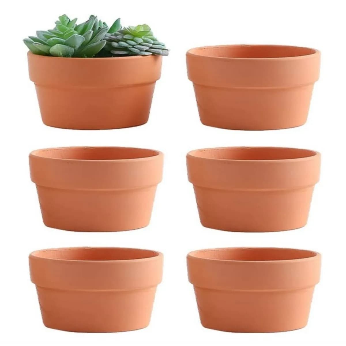 6 pezzi vasi in terracotta da 3,5 "x 2,2" vasi da fiori fioriera in ceramica di argilla con foro di drenaggio cactus piante grasse vasi da vivaio