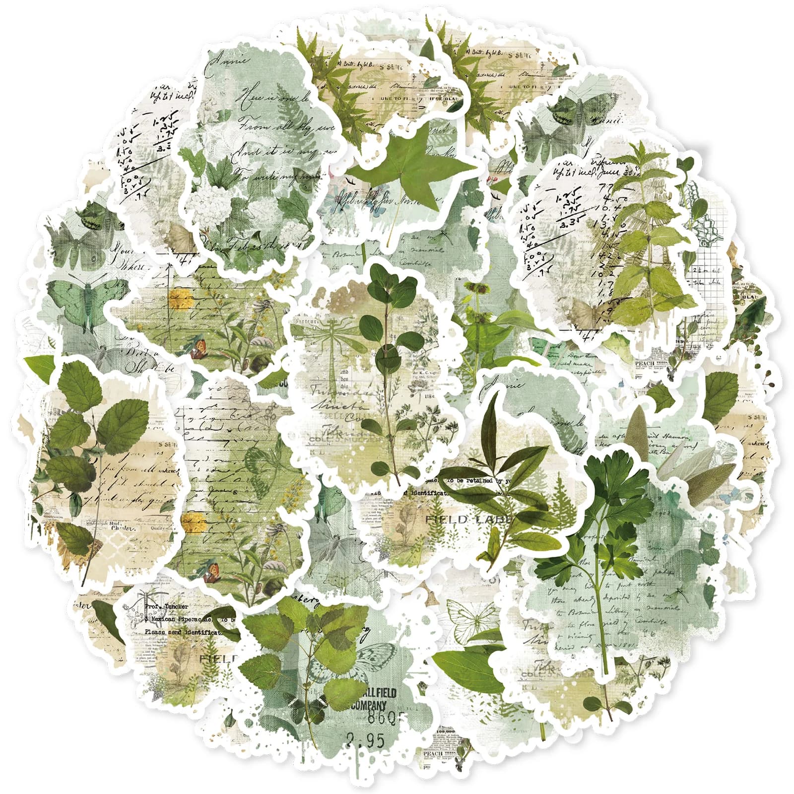 Etori Life Forest-Style Fresh Green Plant Journal Sticker Set Vintage Watercolor Plants DIY Decoration Materials 30Pcs Suitable for Laptops, Suitcases, Guitars, Photo Albums, Bicycles, Scrapbooking Supplies, Office Decoration Accessories, DIY Crafts, Envelopes and Gift Paper Bags, Label Seals, Birthday and Holiday Gifts, Art Aesthetics, School Supplies, Irregular Shapes