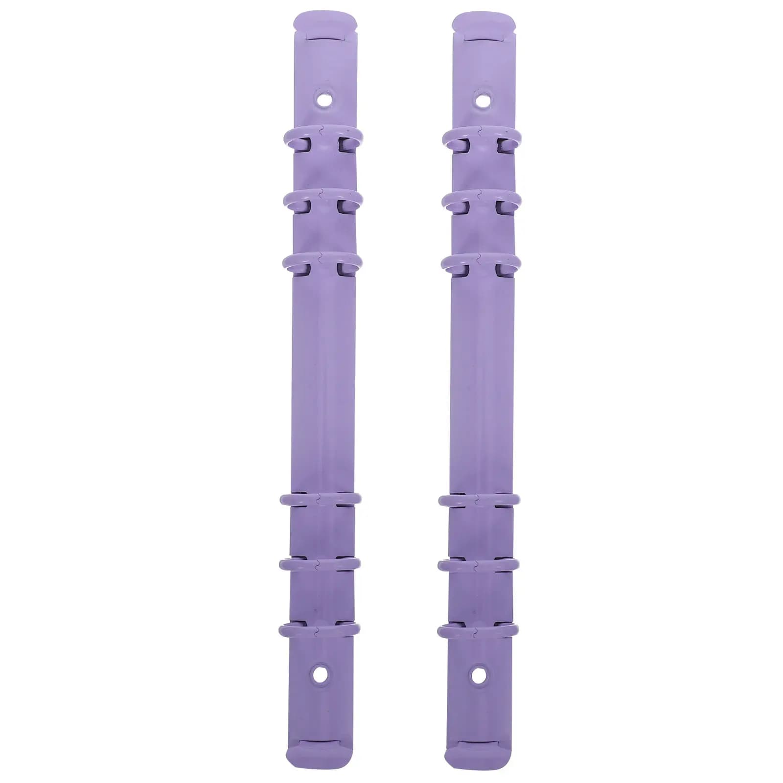 2 Pezzi Anelli Raccoglitori in Metallo Viola a 6 Anelli con Meccanismo Staccabile per Rilegatura Quaderni, Agende e Accessori per Rilegatura Libri