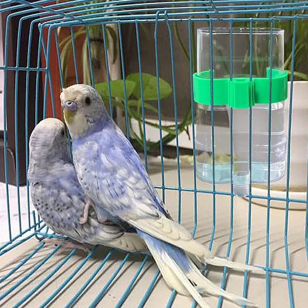 Mangiatoia per uccelli abbeveratoio con Clip Dispenser per alimenti per uccelli bottiglia per pappagalli ciotole per tazze per animali domestici