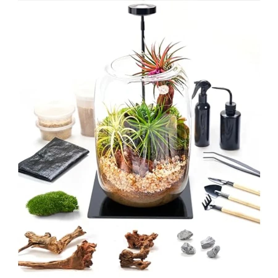 Kit Terrario con Luce per Coltivazione, Set Terrario in Vetro Fai-da-Te da 24 Pezzi con Strumenti, Muschio, Legno, Terra e Ciottoli, Mini Kit per Giardinaggio