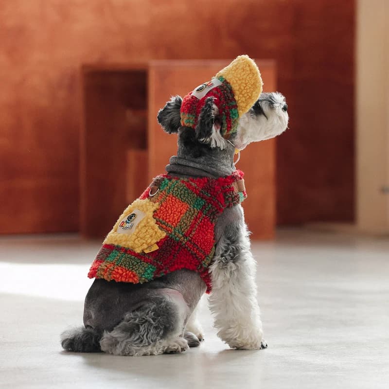 Vestiti per cani da esterno Imbracatura Gilet Pomerania Yorkie Barboncino Bichon Schnauzer Pug Bulldog francese Costume Inverno Abbigliamento per cani Cappello