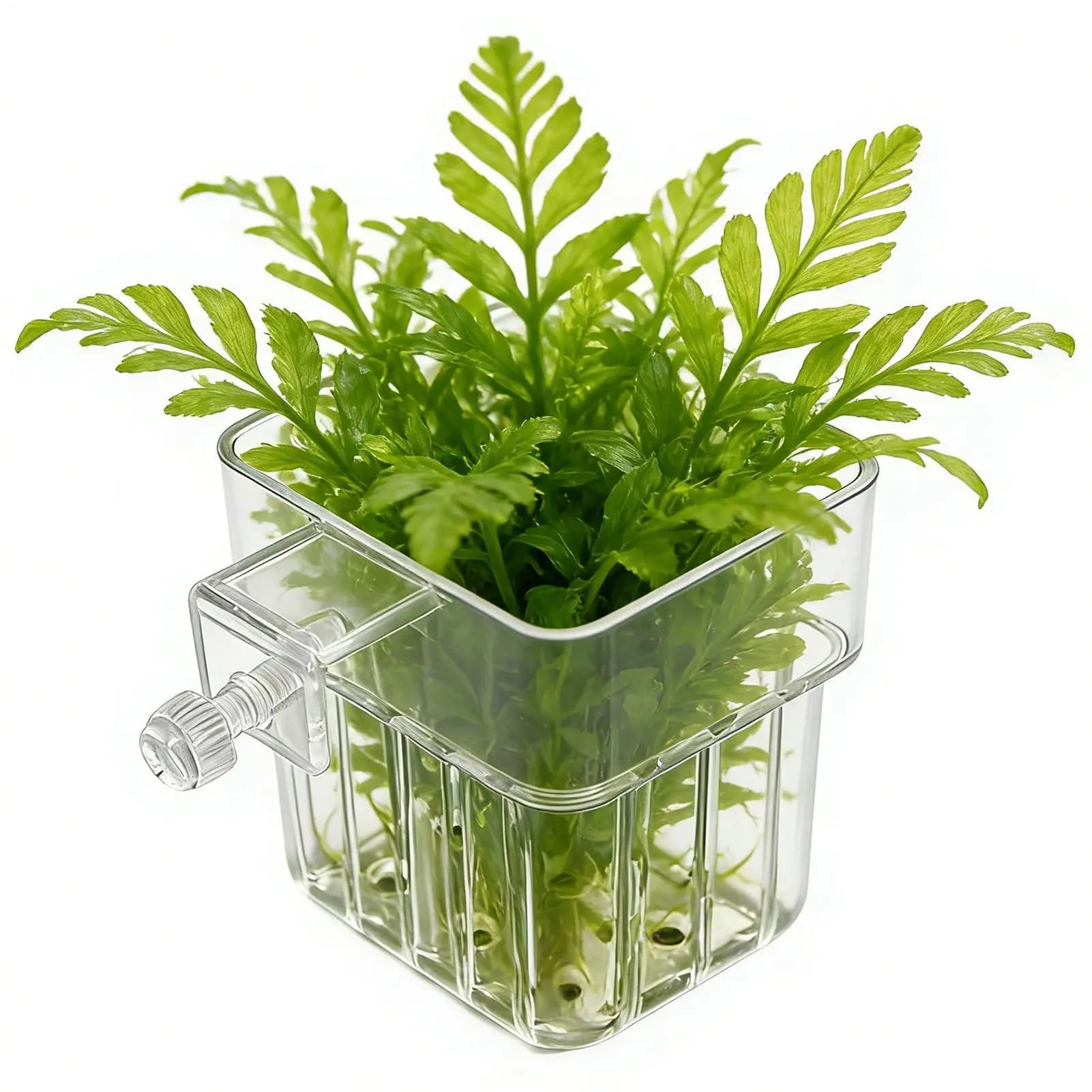 Vaso Trasparente Appendibile per Piante Acquatiche, Fioriera per Acquario, Sistema Idroponico per Coltivazione Indoor e Decorazioni