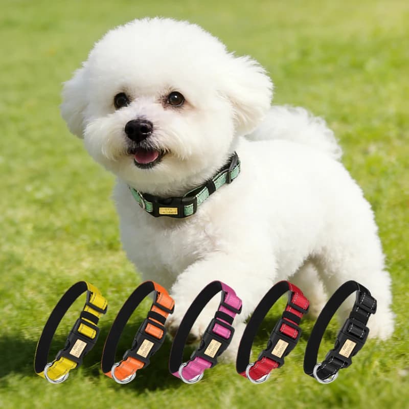 Collare Riflettente Anti-smarrimento per Cani, Doppio Strato Anti-fuga, Guinzaglio Regolabile per Cani Piccoli e Medi, Collare Antiesplosione per Gatti