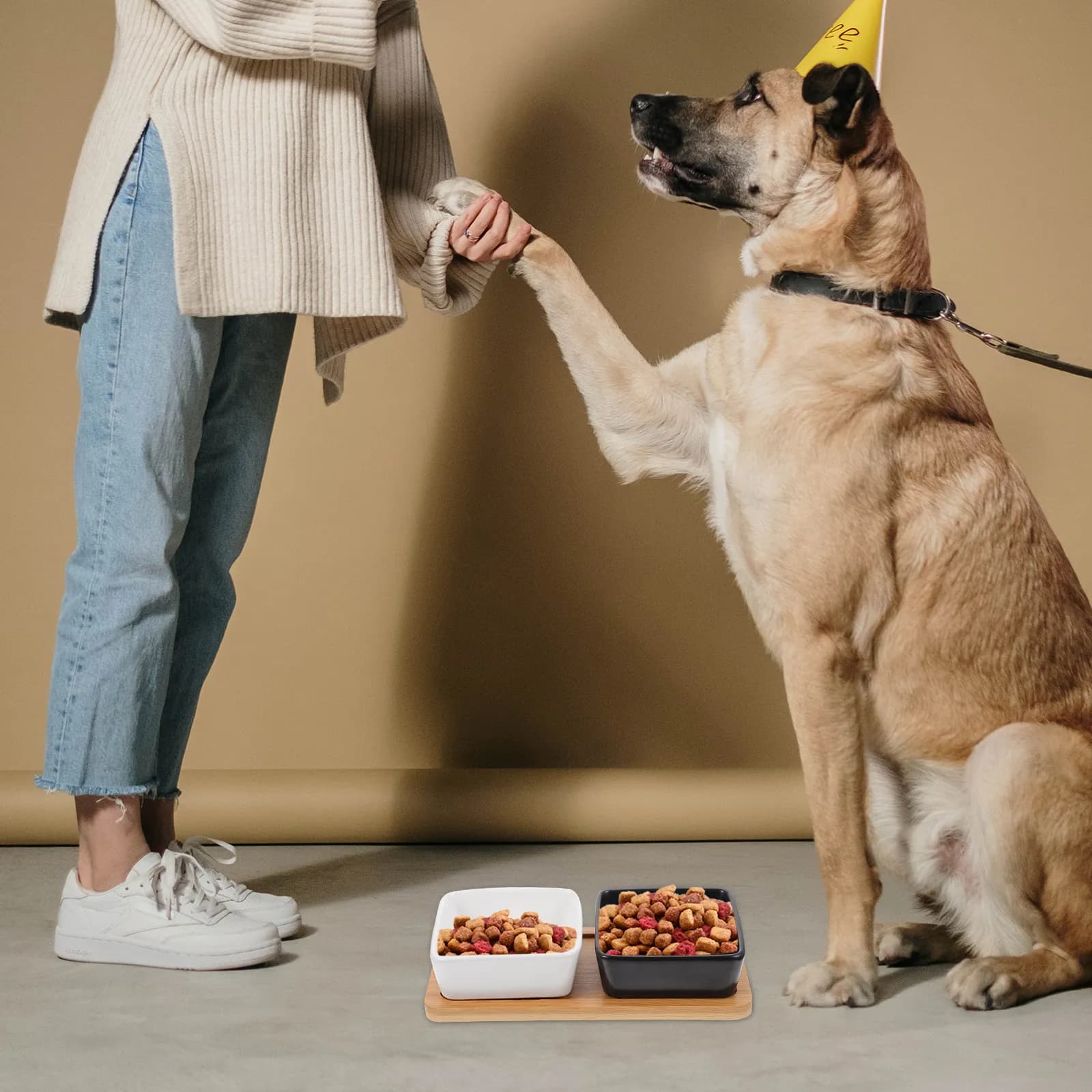 1Set Double Pet Bowl Set with Wooden Base Tray for Cats and Dogs Safe Thickened Ceramic Food and Water Bowls Non-Slip Pet