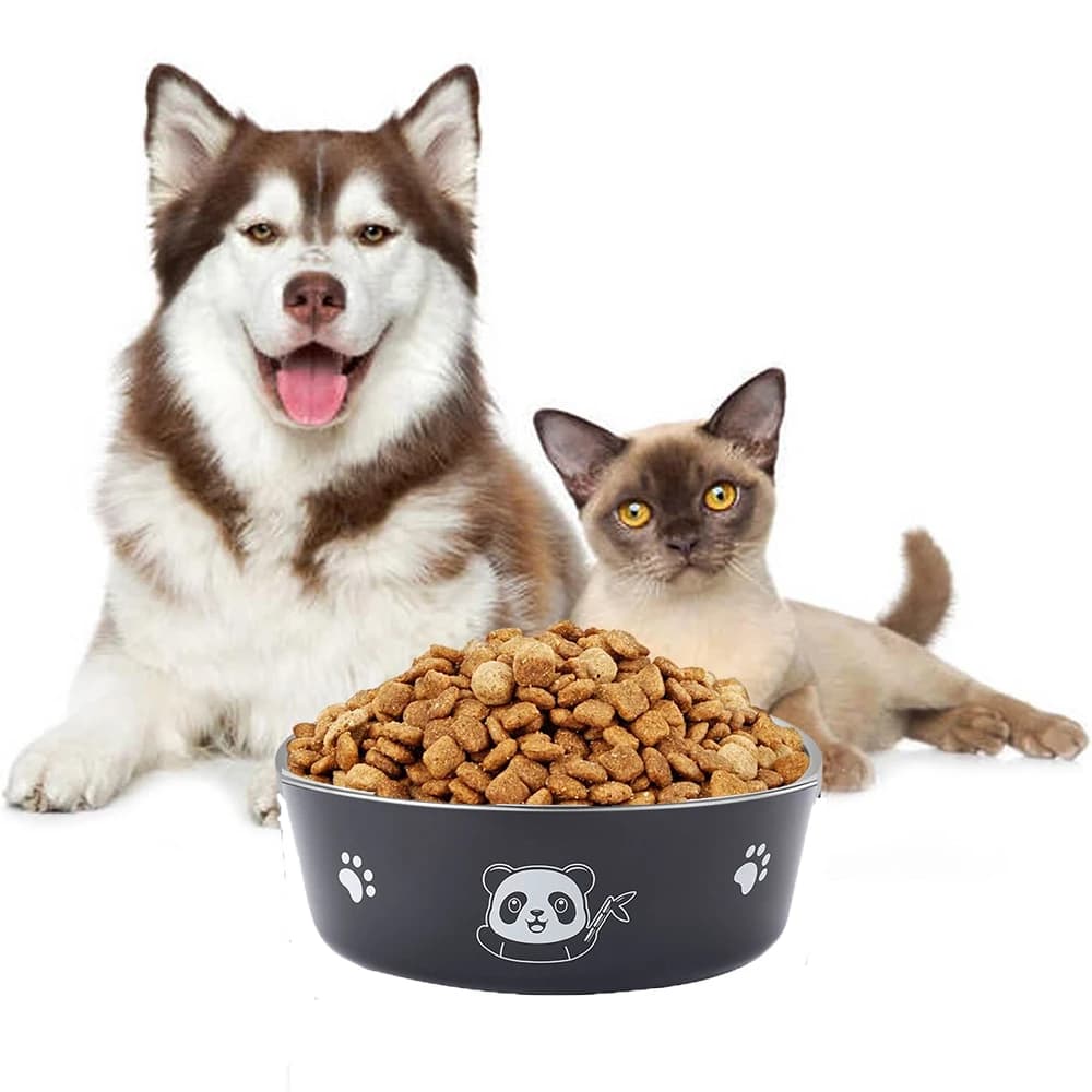 Ciotole per cani da compagnia per cani di taglia grande e piccola Ciotole per acqua per cibo per gatti con fondo in gomma antiscivolo Ciotola per alimentazione per animali a doppia parete isolata