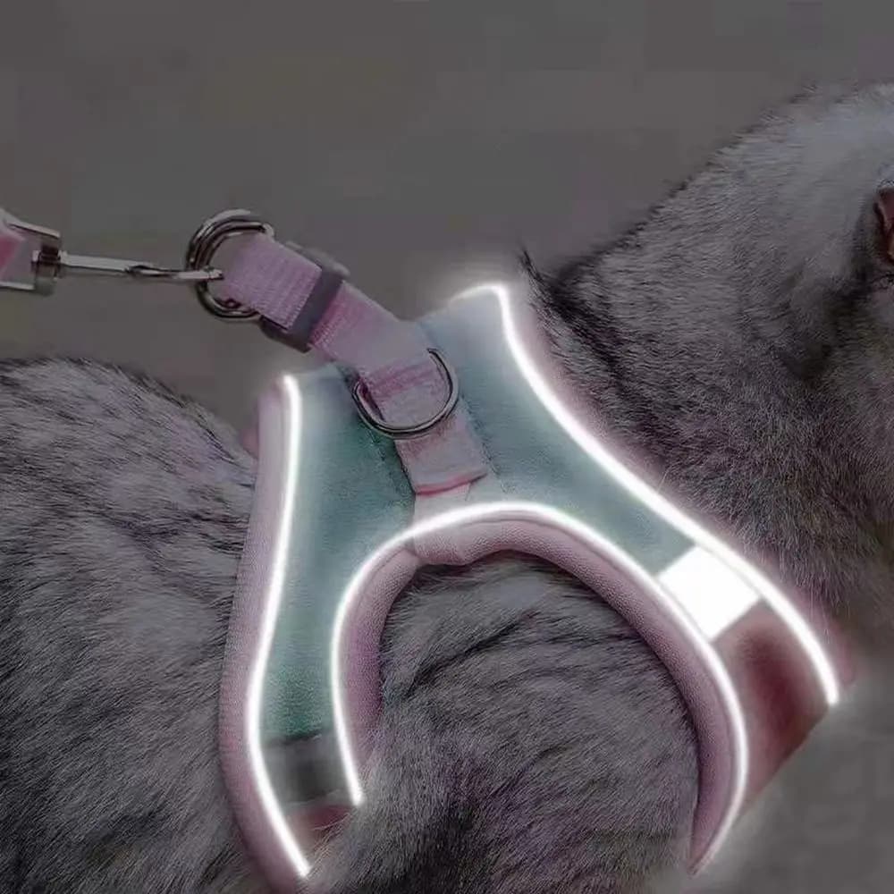 Imbracatura per gilet da esterno anti-perdite Guinzaglio per cani regolabile Imbracatura per gatti traspirante Accessori per gatti Collare per gatti Gilet per animali domestici