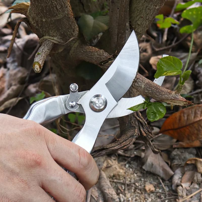 Power of fruit trees Garden shears Garden power Strong artifact flower for domestic use