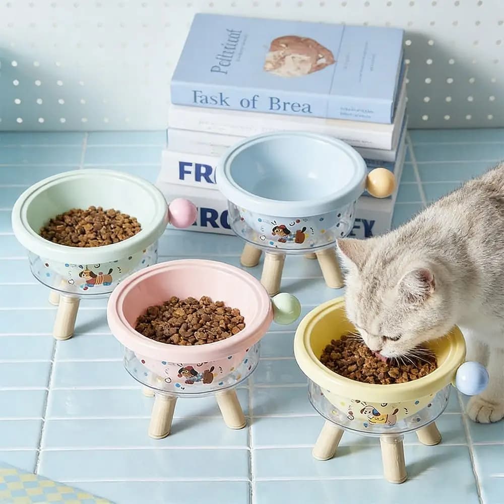 Ciotola per Gatti Ergonomica con Supporto Alto, Antiscivolo, Facile da Pulire, Ciotole per Animali Domestici con Supporto Stabile Rimovibile