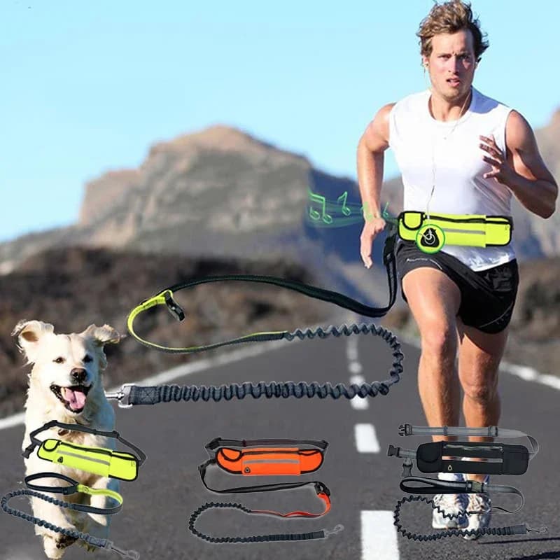 Guinzaglio per cani a mani libere con marsupio Corda elastica riflettente Collare per cani per animali domestici Guinzaglio per cani che corrono WalkingTraining Escursionismo
