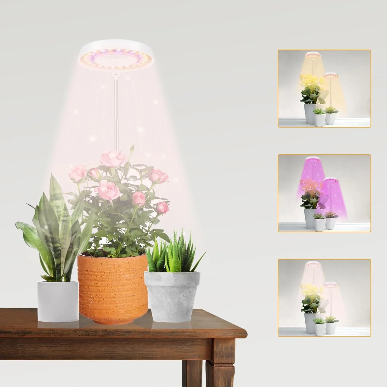 3 colori angelo anello pianta lampada controllo temporizzazione 4/8/12/18 ore spettro completo idroponica dimmerabile piante da fiore LED Phyto lampada