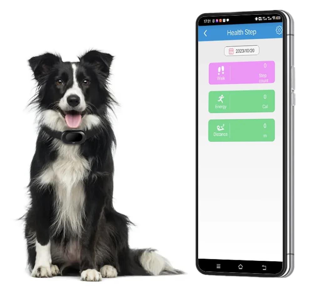 Collare GPS STLFDog per Tracciamento Animali Domestici, Monitoraggio in Tempo Reale su Cellulare, Tracker GPS 2G+4G per Auto e Cani, Supporto per Addestramento Vocale, Tracciamento Mascotas